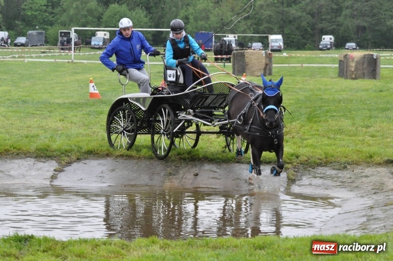 Zdjęcie w galerii na portalu naszraciborz.pl: Widowiskowa rywalizacja w powożeniu na kornickiej majówce [FOTO i WIDEO] wiadomości z regionu