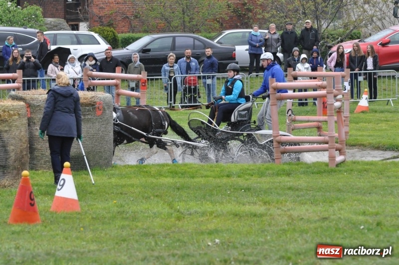Zdjęcie w galerii na portalu naszraciborz.pl: Widowiskowa rywalizacja w powożeniu na kornickiej majówce [FOTO i WIDEO] wiadomości z regionu