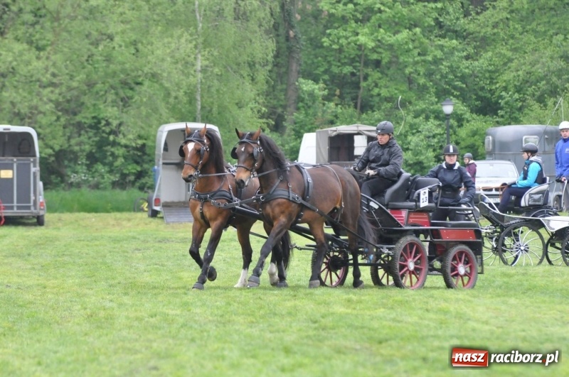 Zdjęcie w galerii na portalu naszraciborz.pl: Widowiskowa rywalizacja w powożeniu na kornickiej majówce [FOTO i WIDEO] wiadomości z regionu