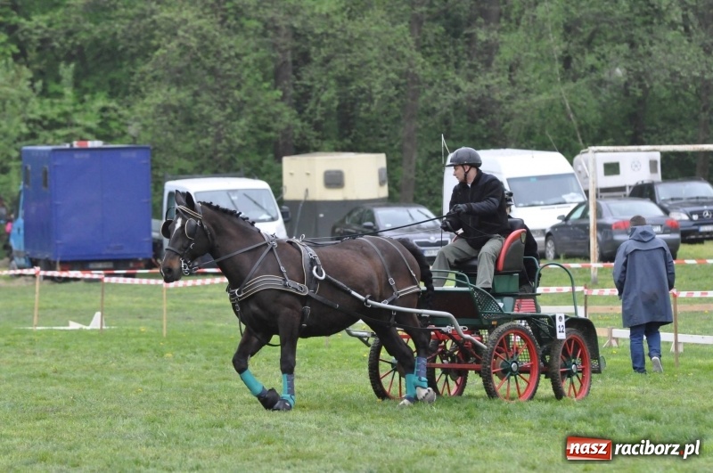 Zdjęcie w galerii na portalu naszraciborz.pl: Widowiskowa rywalizacja w powożeniu na kornickiej majówce [FOTO i WIDEO] wiadomości z regionu
