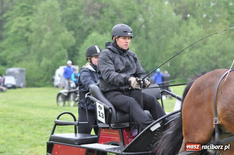 Zdjęcie w galerii na portalu naszraciborz.pl: Widowiskowa rywalizacja w powożeniu na kornickiej majówce [FOTO i WIDEO] wiadomości z regionu