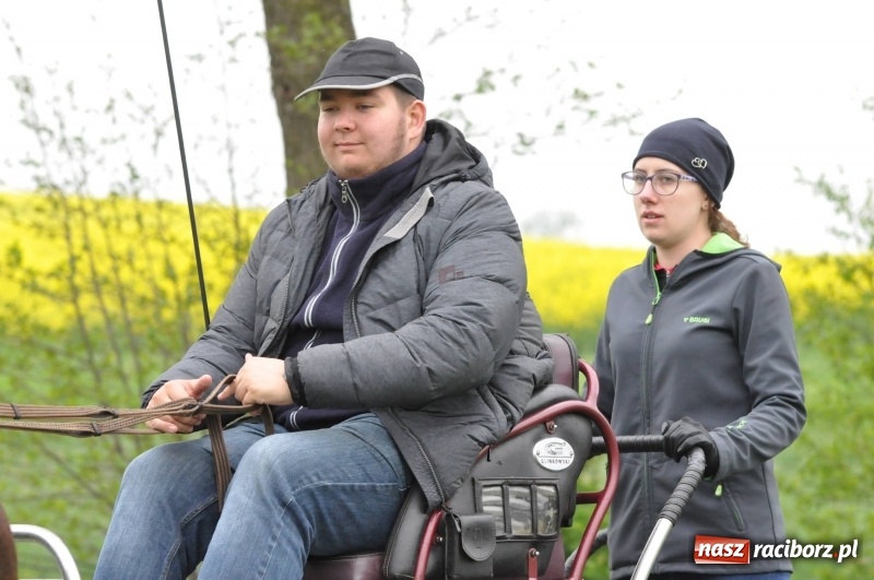 Zdjęcie w galerii na portalu naszraciborz.pl: Widowiskowa rywalizacja w powożeniu na kornickiej majówce [FOTO i WIDEO] wiadomości z regionu