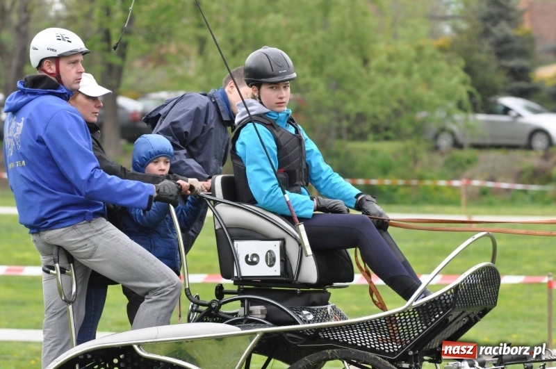 Zdjęcie w galerii na portalu naszraciborz.pl: Widowiskowa rywalizacja w powożeniu na kornickiej majówce [FOTO i WIDEO] wiadomości z regionu