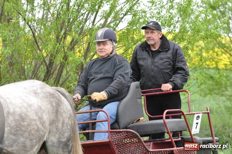 Zdjęcie w galerii na portalu naszraciborz.pl: Widowiskowa rywalizacja w powożeniu na kornickiej majówce [FOTO i WIDEO] wiadomości z regionu