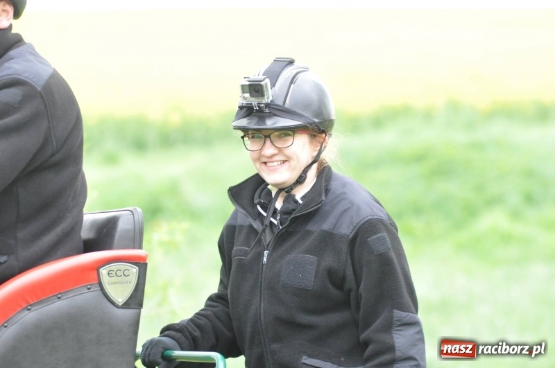 Zdjęcie w galerii na portalu naszraciborz.pl: Widowiskowa rywalizacja w powożeniu na kornickiej majówce [FOTO i WIDEO] wiadomości z regionu