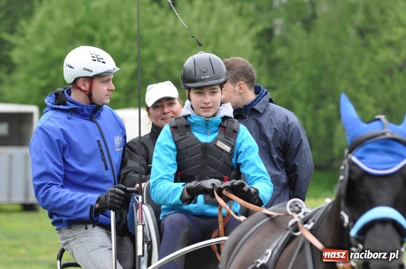 Zdjęcie w galerii na portalu naszraciborz.pl: Widowiskowa rywalizacja w powożeniu na kornickiej majówce [FOTO i WIDEO] wiadomości z regionu