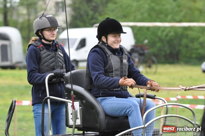 Zdjęcie w galerii na portalu naszraciborz.pl: Widowiskowa rywalizacja w powożeniu na kornickiej majówce [FOTO i WIDEO] wiadomości z regionu