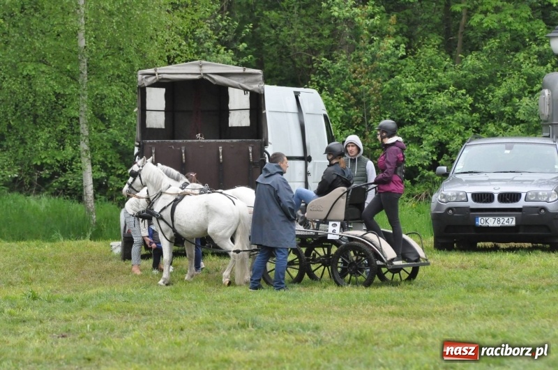 Zdjęcie w galerii na portalu naszraciborz.pl: Widowiskowa rywalizacja w powożeniu na kornickiej majówce [FOTO i WIDEO] wiadomości z regionu