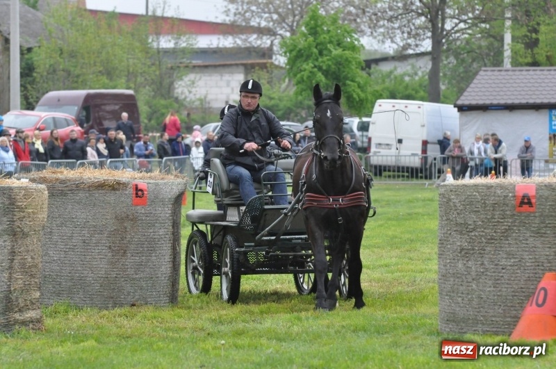 Zdjęcie w galerii na portalu naszraciborz.pl: Widowiskowa rywalizacja w powożeniu na kornickiej majówce [FOTO i WIDEO] wiadomości z regionu