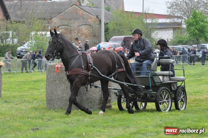 Zdjęcie w galerii na portalu naszraciborz.pl: Widowiskowa rywalizacja w powożeniu na kornickiej majówce [FOTO i WIDEO] wiadomości z regionu