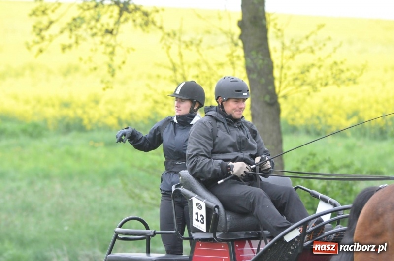 Zdjęcie w galerii na portalu naszraciborz.pl: Widowiskowa rywalizacja w powożeniu na kornickiej majówce [FOTO i WIDEO] wiadomości z regionu