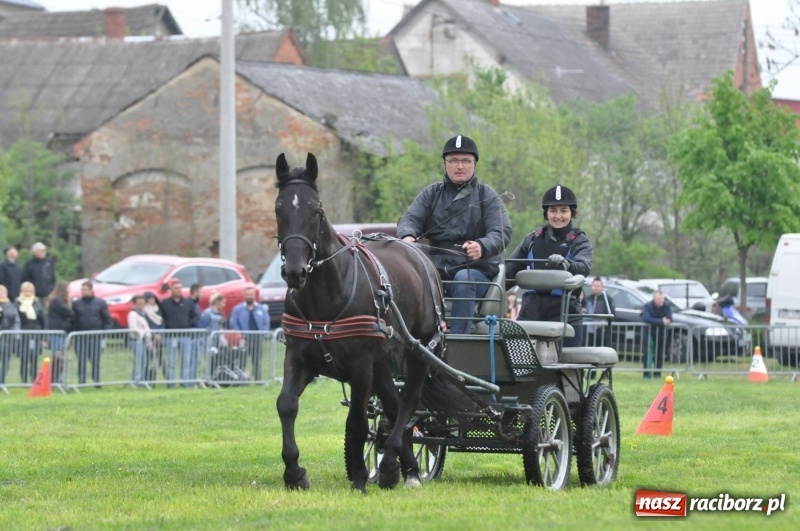 Zdjęcie w galerii na portalu naszraciborz.pl: Widowiskowa rywalizacja w powożeniu na kornickiej majówce [FOTO i WIDEO] wiadomości z regionu
