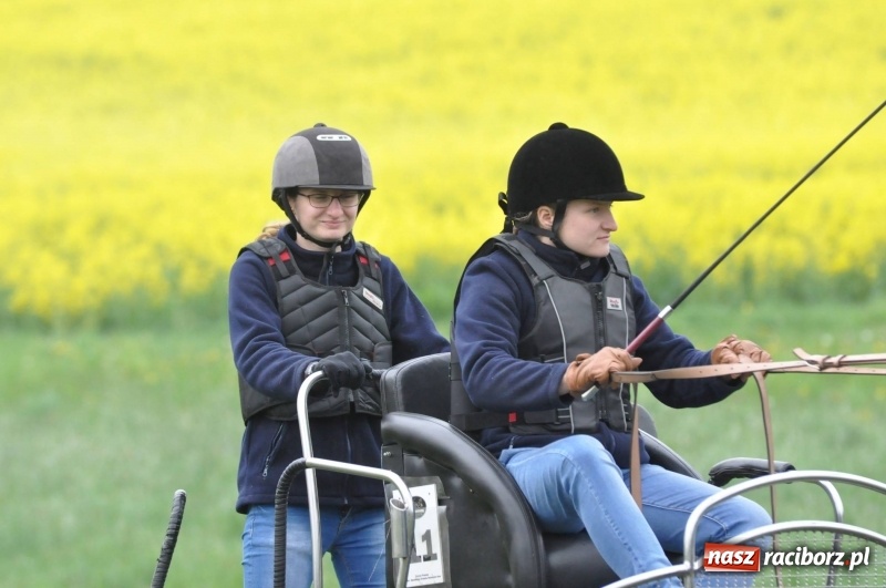 Zdjęcie w galerii na portalu naszraciborz.pl: Widowiskowa rywalizacja w powożeniu na kornickiej majówce [FOTO i WIDEO] wiadomości z regionu