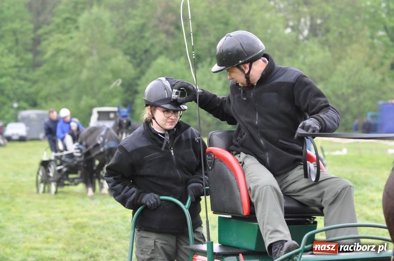 Zdjęcie w galerii na portalu naszraciborz.pl: Widowiskowa rywalizacja w powożeniu na kornickiej majówce [FOTO i WIDEO] wiadomości z regionu