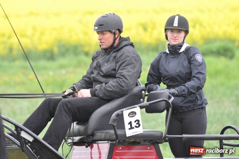 Zdjęcie w galerii na portalu naszraciborz.pl: Widowiskowa rywalizacja w powożeniu na kornickiej majówce [FOTO i WIDEO] wiadomości z regionu