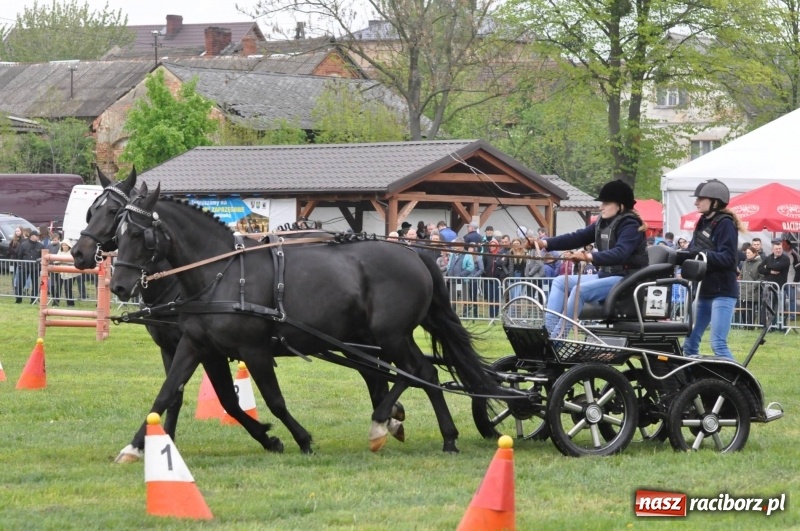 Zdjęcie w galerii na portalu naszraciborz.pl: Widowiskowa rywalizacja w powożeniu na kornickiej majówce [FOTO i WIDEO] wiadomości z regionu