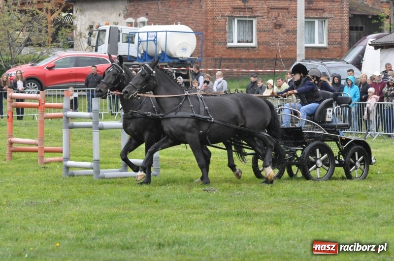 Zdjęcie w galerii na portalu naszraciborz.pl: Widowiskowa rywalizacja w powożeniu na kornickiej majówce [FOTO i WIDEO] wiadomości z regionu