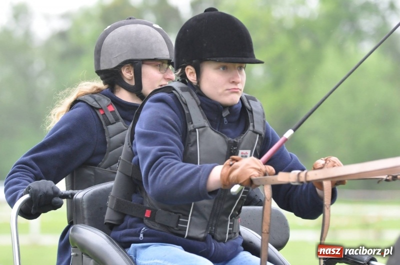 Zdjęcie w galerii na portalu naszraciborz.pl: Widowiskowa rywalizacja w powożeniu na kornickiej majówce [FOTO i WIDEO] wiadomości z regionu