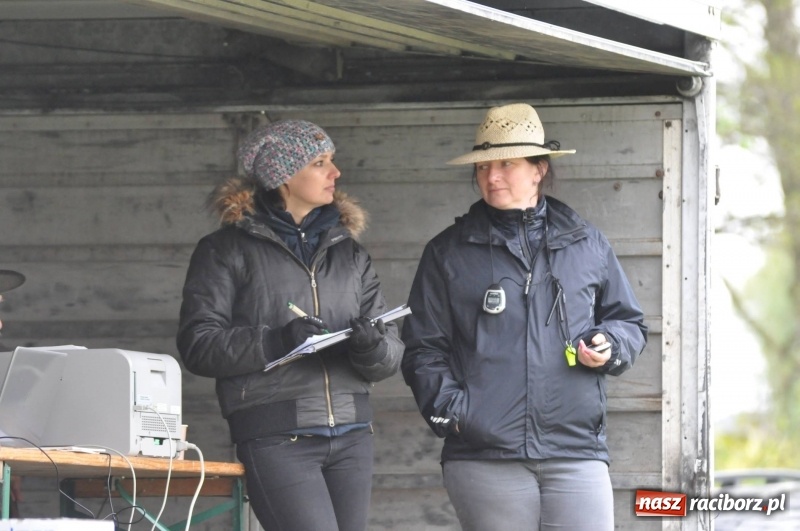Zdjęcie w galerii na portalu naszraciborz.pl: Widowiskowa rywalizacja w powożeniu na kornickiej majówce [FOTO i WIDEO] wiadomości z regionu