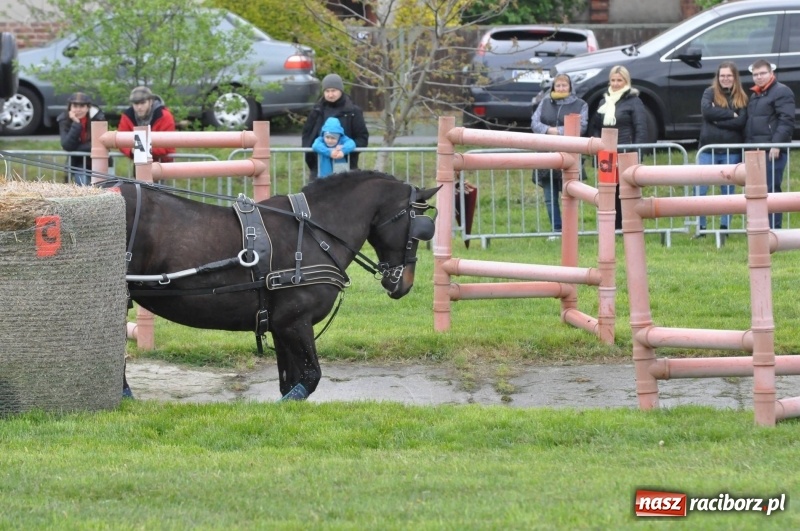Zdjęcie w galerii na portalu naszraciborz.pl: Widowiskowa rywalizacja w powożeniu na kornickiej majówce [FOTO i WIDEO] wiadomości z regionu