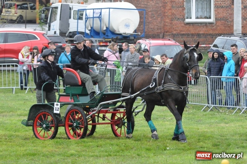 Zdjęcie w galerii na portalu naszraciborz.pl: Widowiskowa rywalizacja w powożeniu na kornickiej majówce [FOTO i WIDEO] wiadomości z regionu