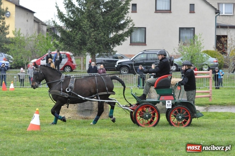 Zdjęcie w galerii na portalu naszraciborz.pl: Widowiskowa rywalizacja w powożeniu na kornickiej majówce [FOTO i WIDEO] wiadomości z regionu
