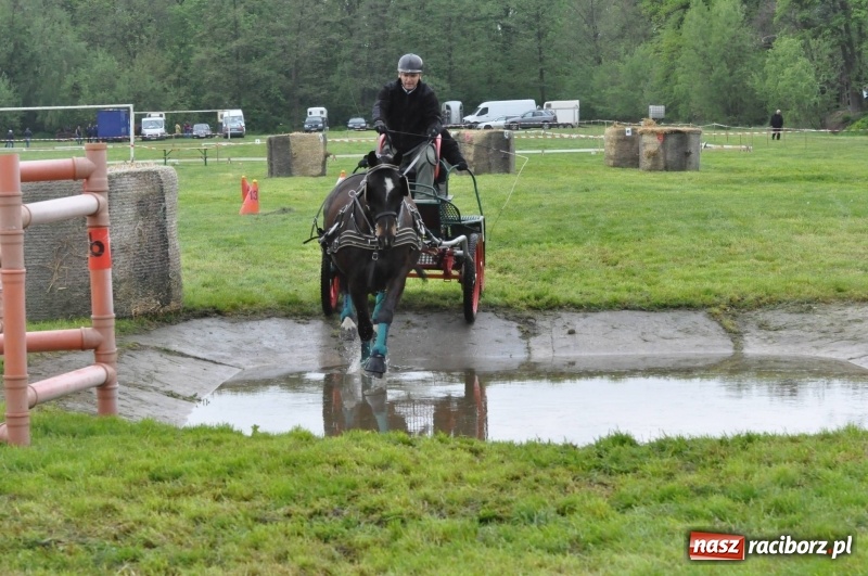 Zdjęcie w galerii na portalu naszraciborz.pl: Widowiskowa rywalizacja w powożeniu na kornickiej majówce [FOTO i WIDEO] wiadomości z regionu