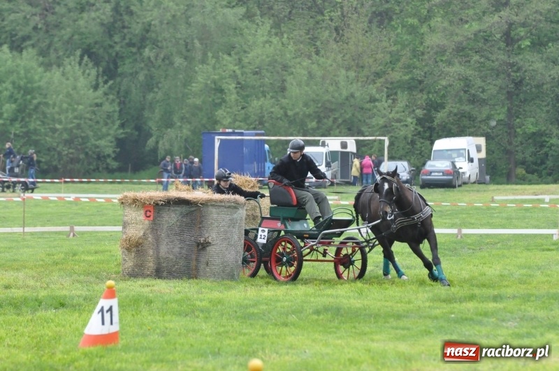 Zdjęcie w galerii na portalu naszraciborz.pl: Widowiskowa rywalizacja w powożeniu na kornickiej majówce [FOTO i WIDEO] wiadomości z regionu
