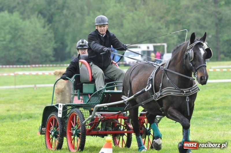 Zdjęcie w galerii na portalu naszraciborz.pl: Widowiskowa rywalizacja w powożeniu na kornickiej majówce [FOTO i WIDEO] wiadomości z regionu