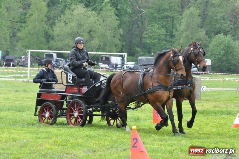 Zdjęcie w galerii na portalu naszraciborz.pl: Widowiskowa rywalizacja w powożeniu na kornickiej majówce [FOTO i WIDEO] wiadomości z regionu
