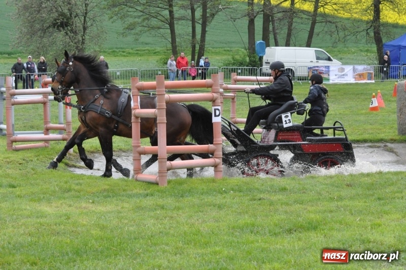 Zdjęcie w galerii na portalu naszraciborz.pl: Widowiskowa rywalizacja w powożeniu na kornickiej majówce [FOTO i WIDEO] wiadomości z regionu