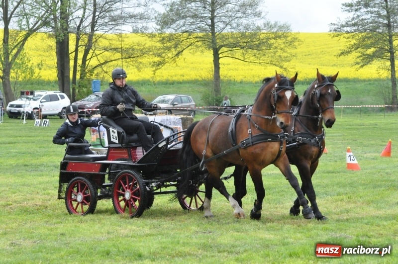 Zdjęcie w galerii na portalu naszraciborz.pl: Widowiskowa rywalizacja w powożeniu na kornickiej majówce [FOTO i WIDEO] wiadomości z regionu