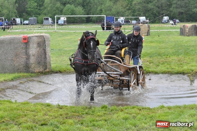 Zdjęcie w galerii na portalu naszraciborz.pl: Widowiskowa rywalizacja w powożeniu na kornickiej majówce [FOTO i WIDEO] wiadomości z regionu