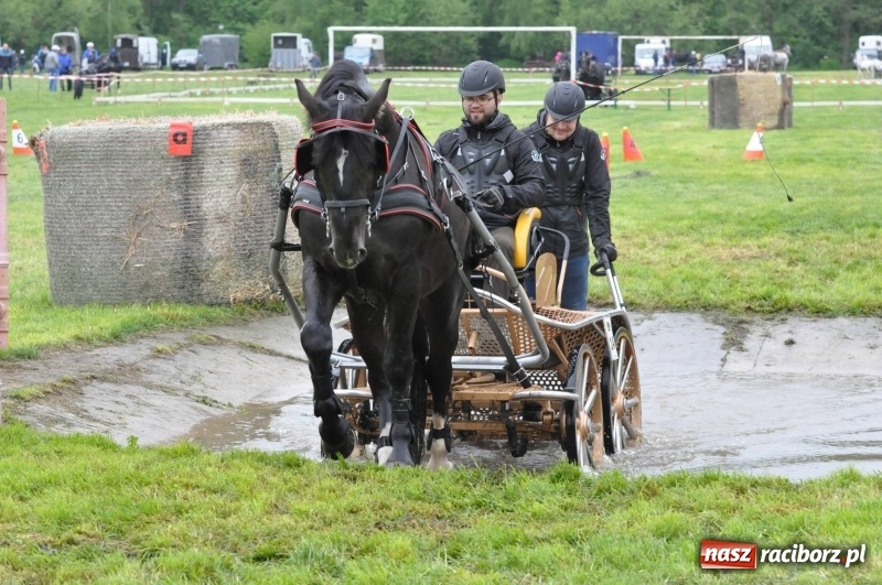 Zdjęcie w galerii na portalu naszraciborz.pl: Widowiskowa rywalizacja w powożeniu na kornickiej majówce [FOTO i WIDEO] wiadomości z regionu