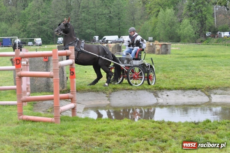 Zdjęcie w galerii na portalu naszraciborz.pl: Widowiskowa rywalizacja w powożeniu na kornickiej majówce [FOTO i WIDEO] wiadomości z regionu