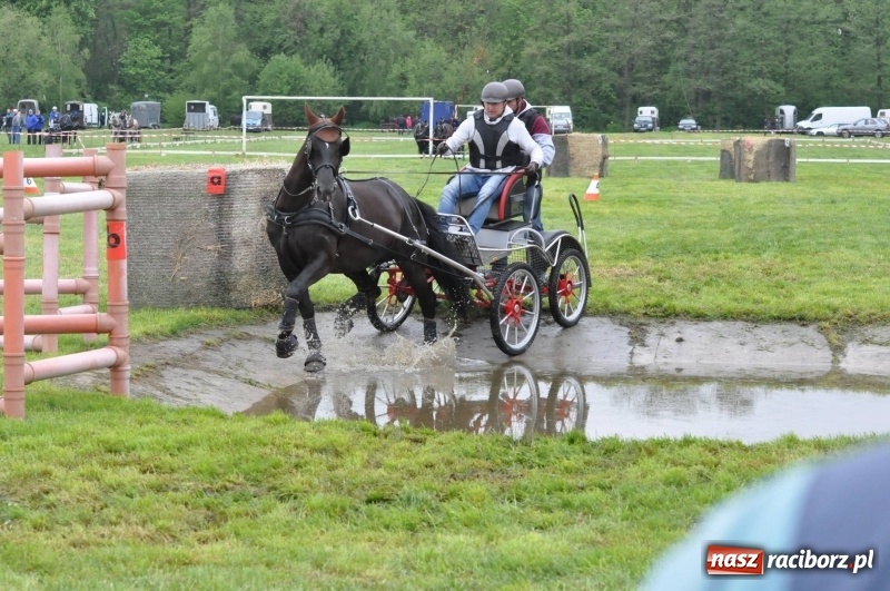 Zdjęcie w galerii na portalu naszraciborz.pl: Widowiskowa rywalizacja w powożeniu na kornickiej majówce [FOTO i WIDEO] wiadomości z regionu