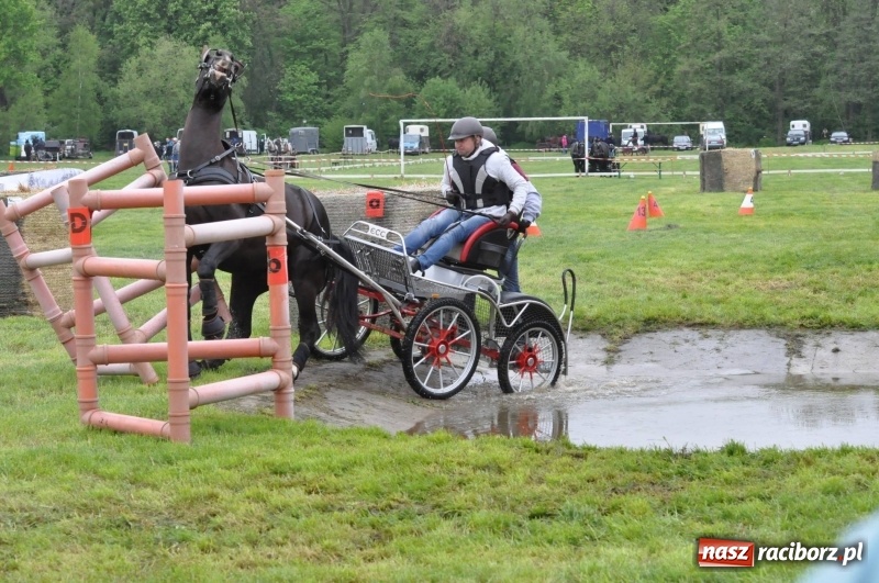 Zdjęcie w galerii na portalu naszraciborz.pl: Widowiskowa rywalizacja w powożeniu na kornickiej majówce [FOTO i WIDEO] wiadomości z regionu