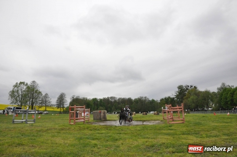 Zdjęcie w galerii na portalu naszraciborz.pl: Widowiskowa rywalizacja w powożeniu na kornickiej majówce [FOTO i WIDEO] wiadomości z regionu