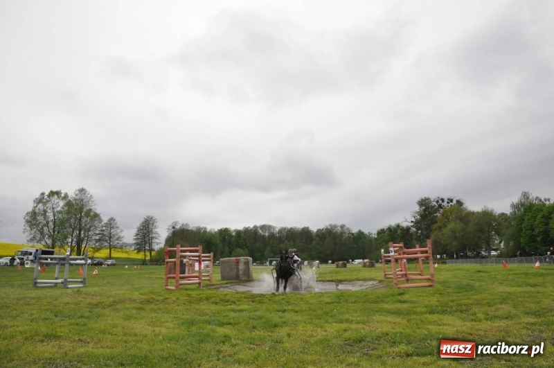 Zdjęcie w galerii na portalu naszraciborz.pl: Widowiskowa rywalizacja w powożeniu na kornickiej majówce [FOTO i WIDEO] wiadomości z regionu