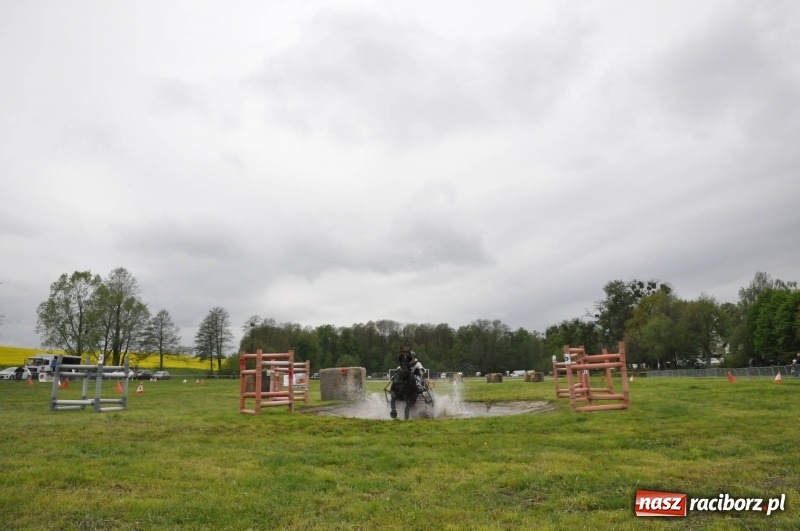 Zdjęcie w galerii na portalu naszraciborz.pl: Widowiskowa rywalizacja w powożeniu na kornickiej majówce [FOTO i WIDEO] wiadomości z regionu