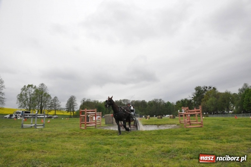 Zdjęcie w galerii na portalu naszraciborz.pl: Widowiskowa rywalizacja w powożeniu na kornickiej majówce [FOTO i WIDEO] wiadomości z regionu