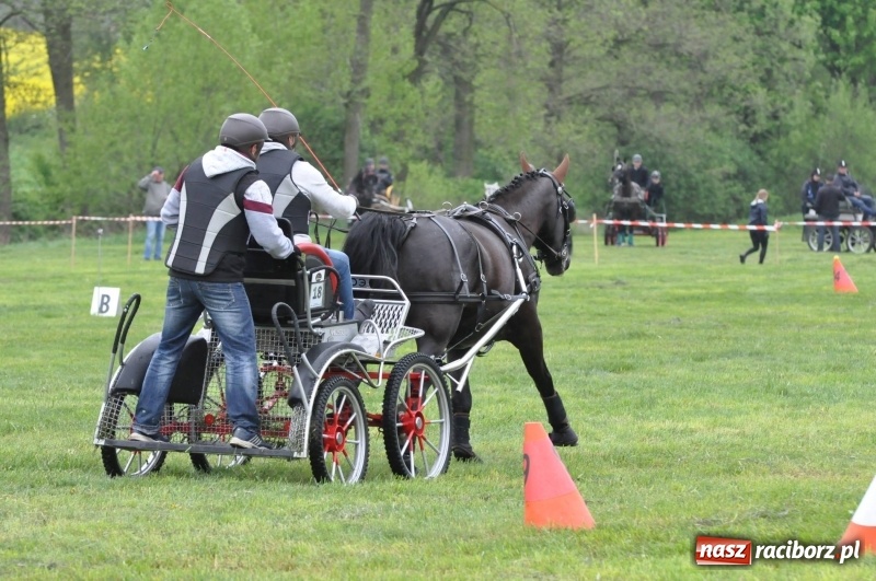 Zdjęcie w galerii na portalu naszraciborz.pl: Widowiskowa rywalizacja w powożeniu na kornickiej majówce [FOTO i WIDEO] wiadomości z regionu