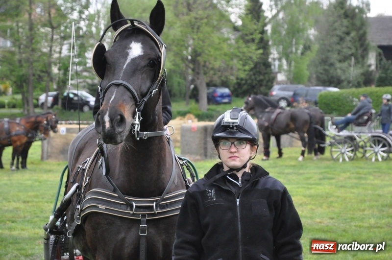 Zdjęcie w galerii na portalu naszraciborz.pl: Widowiskowa rywalizacja w powożeniu na kornickiej majówce [FOTO i WIDEO] wiadomości z regionu