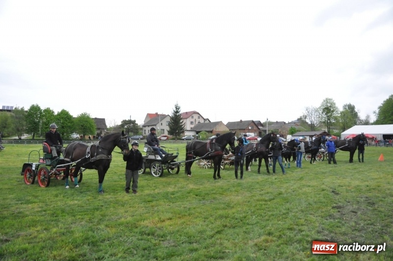 Zdjęcie w galerii na portalu naszraciborz.pl: Widowiskowa rywalizacja w powożeniu na kornickiej majówce [FOTO i WIDEO] wiadomości z regionu