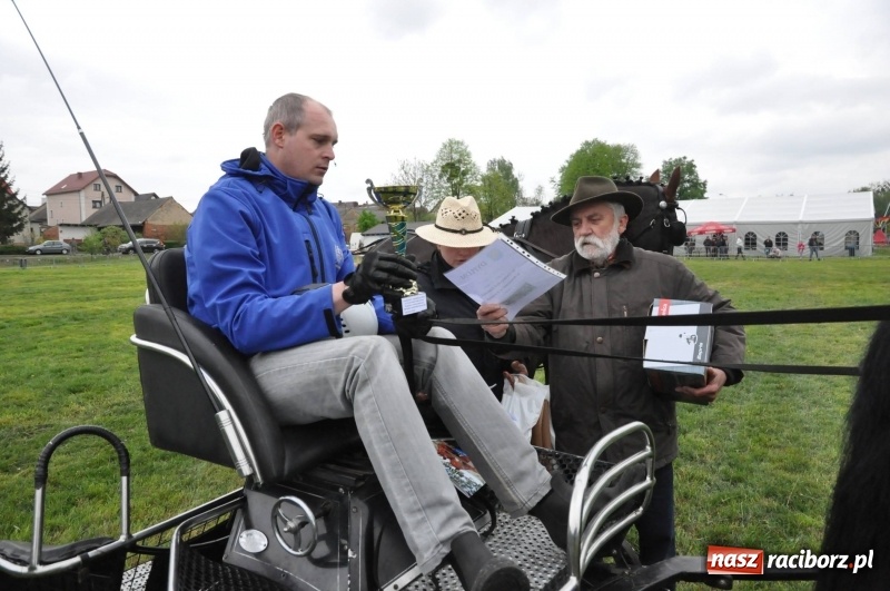 Zdjęcie w galerii na portalu naszraciborz.pl: Widowiskowa rywalizacja w powożeniu na kornickiej majówce [FOTO i WIDEO] wiadomości z regionu