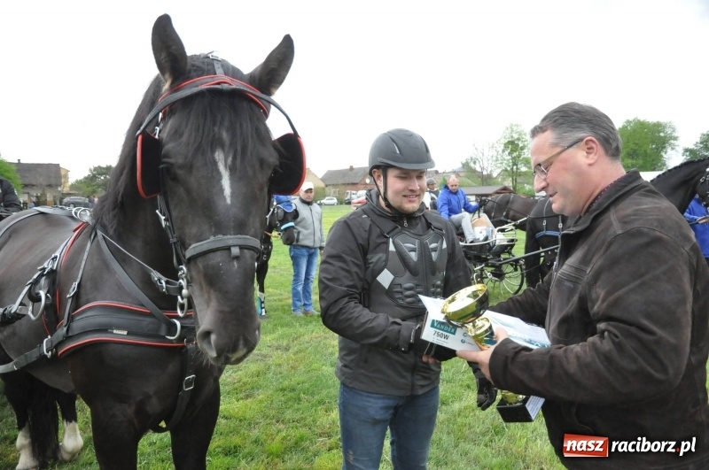 Zdjęcie w galerii na portalu naszraciborz.pl: Widowiskowa rywalizacja w powożeniu na kornickiej majówce [FOTO i WIDEO] wiadomości z regionu