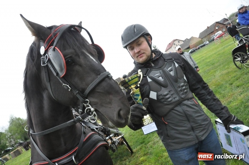 Zdjęcie w galerii na portalu naszraciborz.pl: Widowiskowa rywalizacja w powożeniu na kornickiej majówce [FOTO i WIDEO] wiadomości z regionu