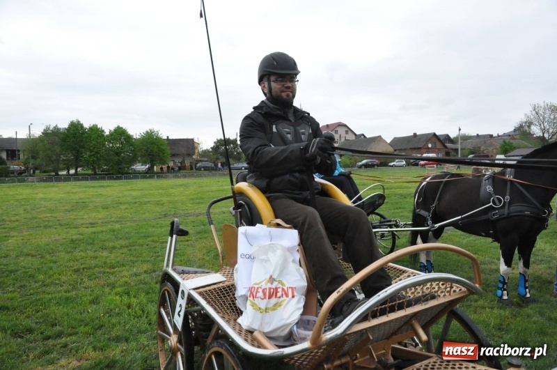 Zdjęcie w galerii na portalu naszraciborz.pl: Widowiskowa rywalizacja w powożeniu na kornickiej majówce [FOTO i WIDEO] wiadomości z regionu