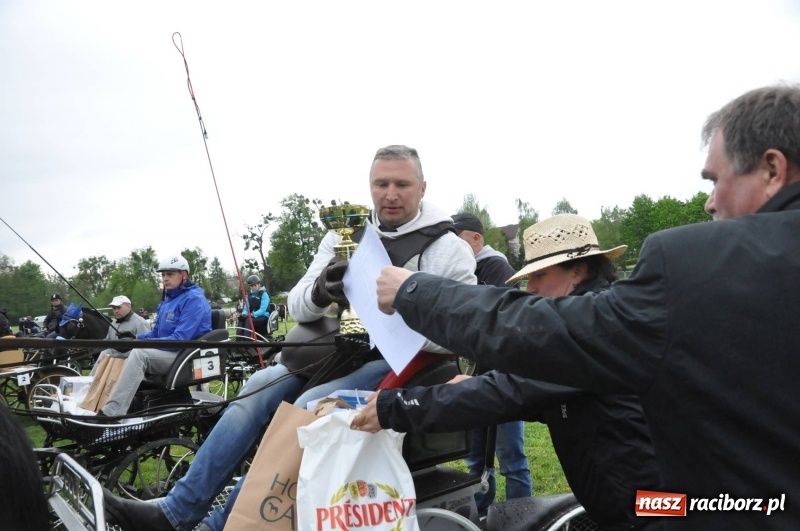 Zdjęcie w galerii na portalu naszraciborz.pl: Widowiskowa rywalizacja w powożeniu na kornickiej majówce [FOTO i WIDEO] wiadomości z regionu