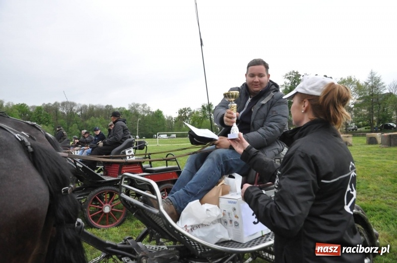 Zdjęcie w galerii na portalu naszraciborz.pl: Widowiskowa rywalizacja w powożeniu na kornickiej majówce [FOTO i WIDEO] wiadomości z regionu